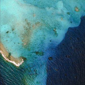 Meet your Posher, Edgar